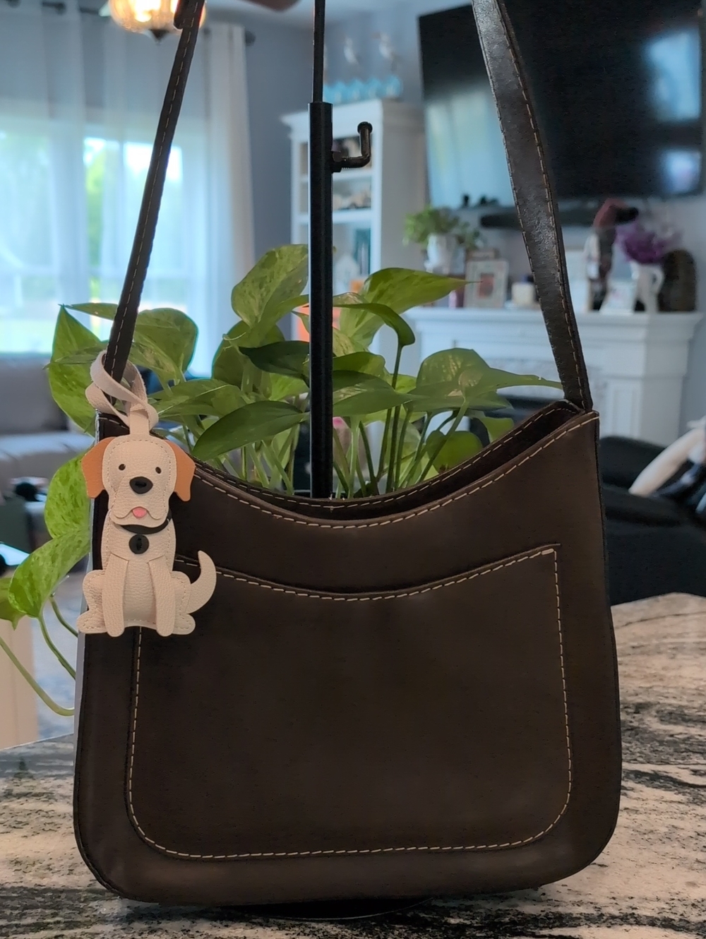 Stone Mountain Brown Smooth Leather Crossbody Bag